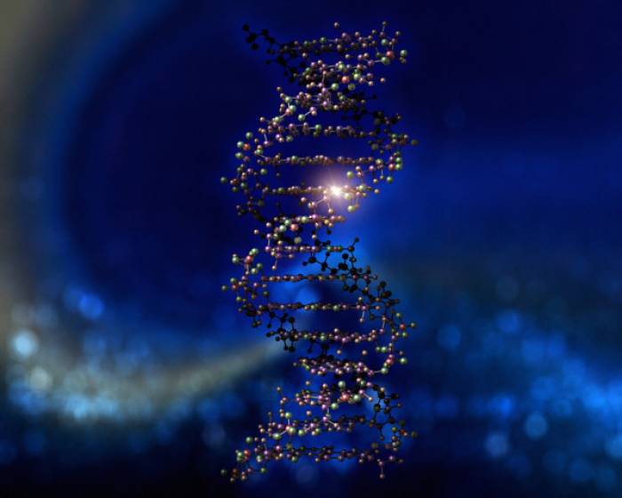 DNA, Dimensions, Frequency And Reality