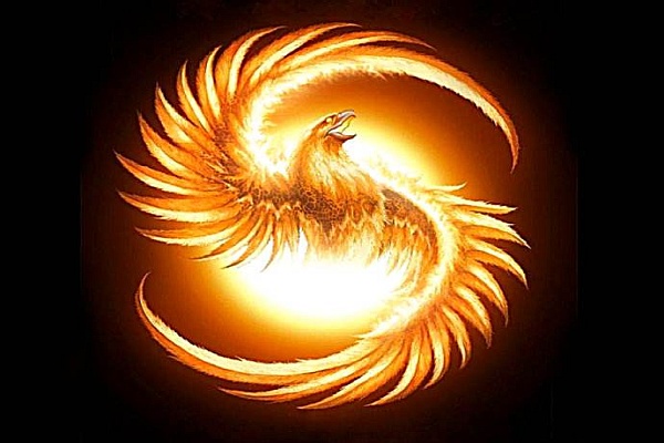 the phoenix