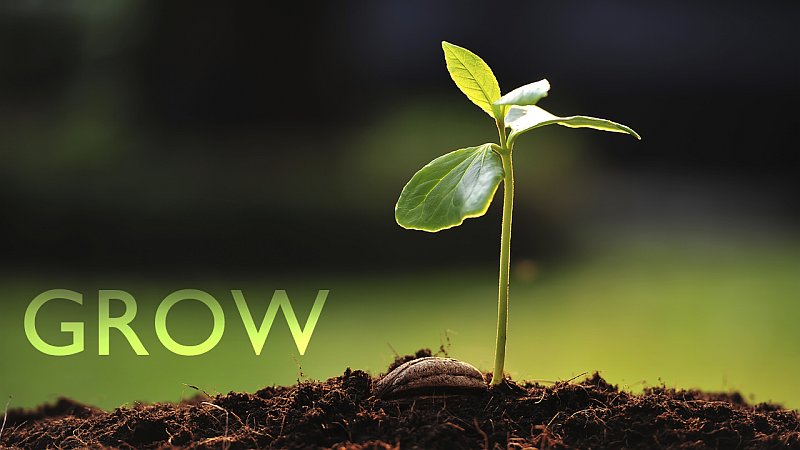 Growing Spiritually growing