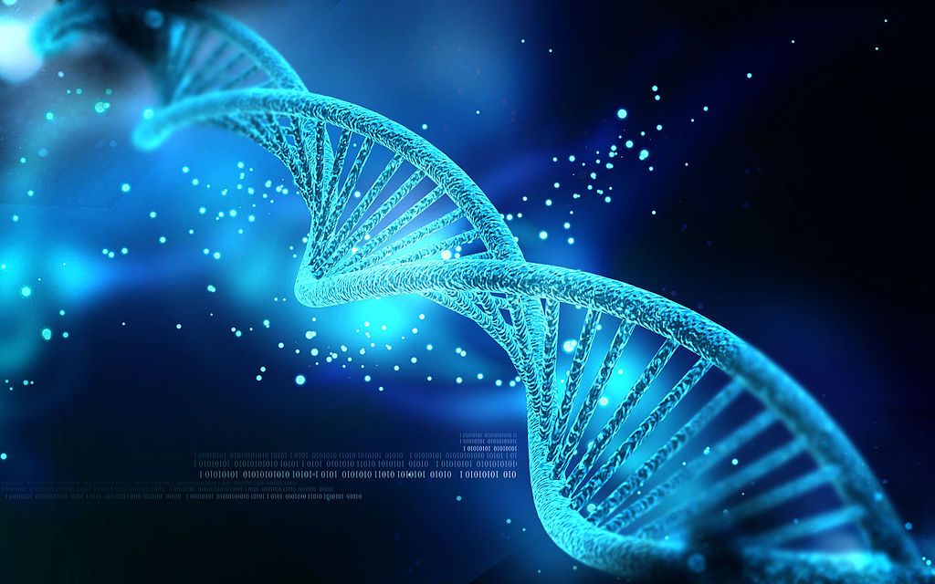 Understanding Consciousness And DNA In A Whole New Way