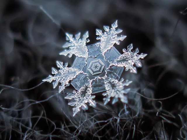 snow-flake