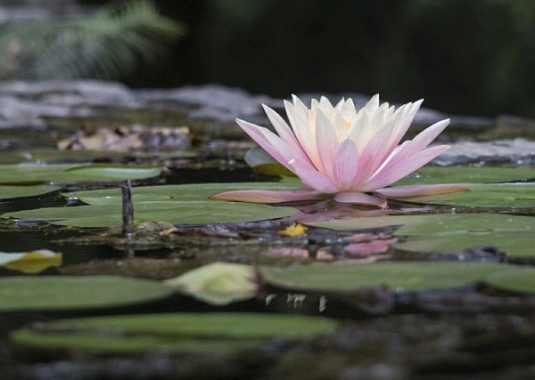 A Reminder of Your Worthiness A Reminder of Your Worthiness