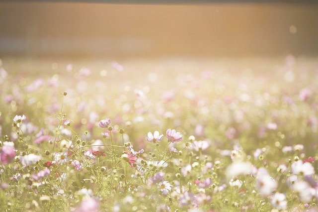 One Simple Practice to Shift Your Energy One Simple Practice to Shift Your Energy