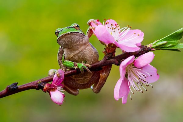 5 Affirmations to Help You Bloom in Spring 5 Affirmations to Help You Bloom in Spring