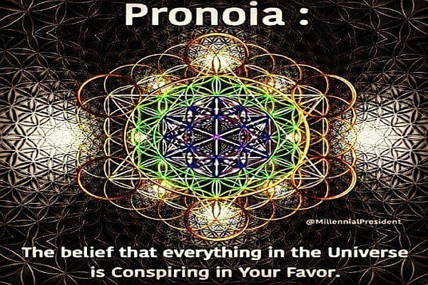 Pronoia: The Belief That Everything In The Universe Is Conspiring In Our Favour pronoia