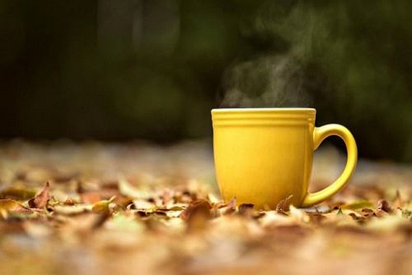 From Survival Mode to Self-Care tea