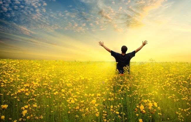The Simple Truth About Abundance abundance