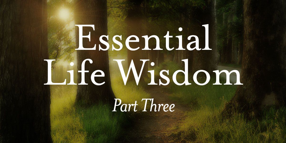 life wisdom 3