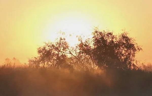 Arise: Asket of Temmer Arise: Asket of Temmer
