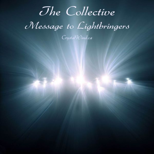 Embracing Light Amidst Darkness - Message To Light Bringers