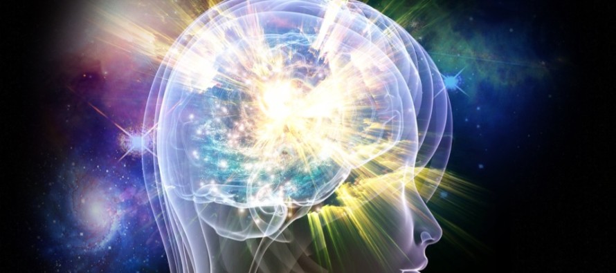 Whole Brain Thinking | Owen K. Waters