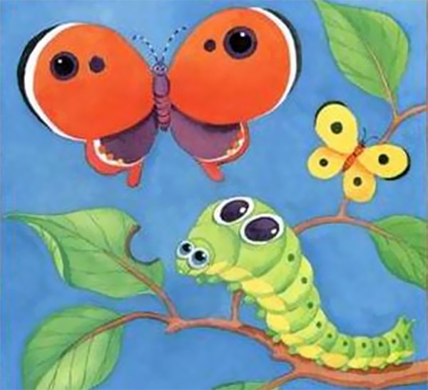 The Caterpillars and the Butterfly The Caterpillars and the Butterfly