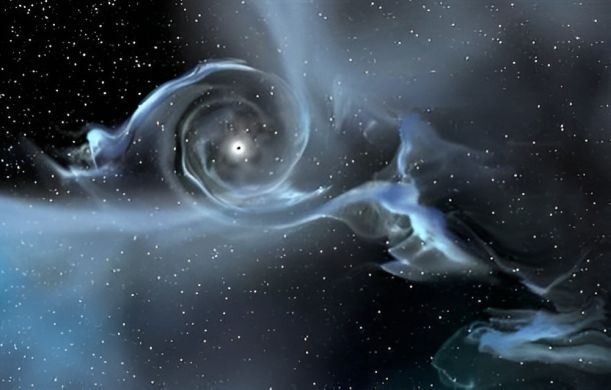 The Cosmic Conception The Cosmic Conception