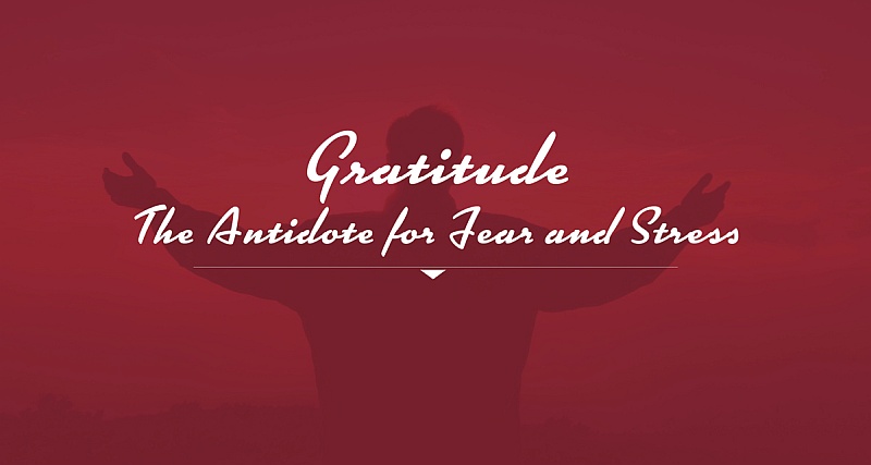 fear gratitude