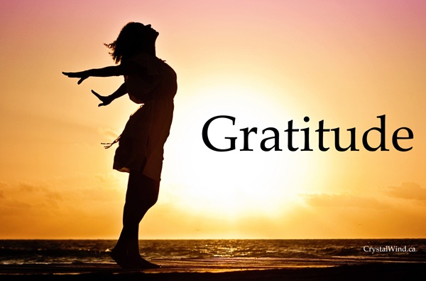 Gratitude Brings Freedom