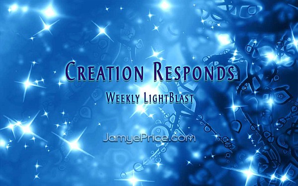Creation Responds - Weekly LightBlast Creation Responds - Weekly LightBlast