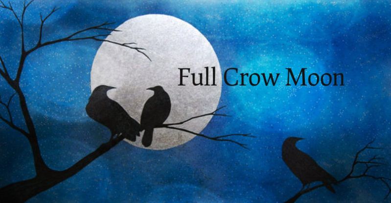 Full Crow Moon In Virgo – Feel The Feminine Power & Strength Arising crow moon