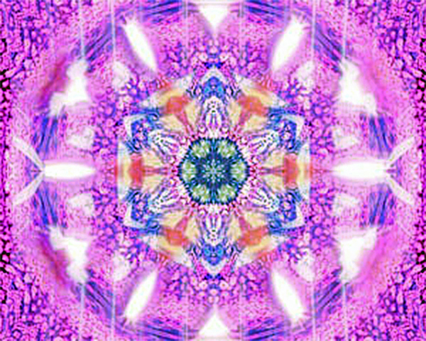 The Amethyst Order and Violet Flame Holders The Amethyst Order and Violet Flame Holders
