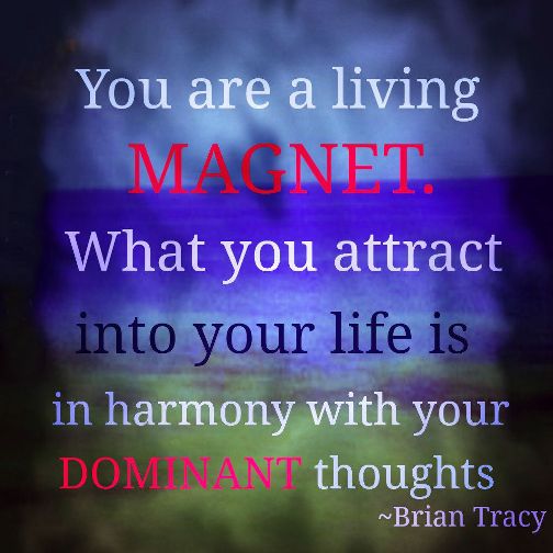 you-are-a-living-magnet