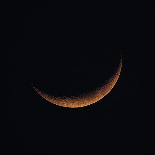 New Moon New Moon