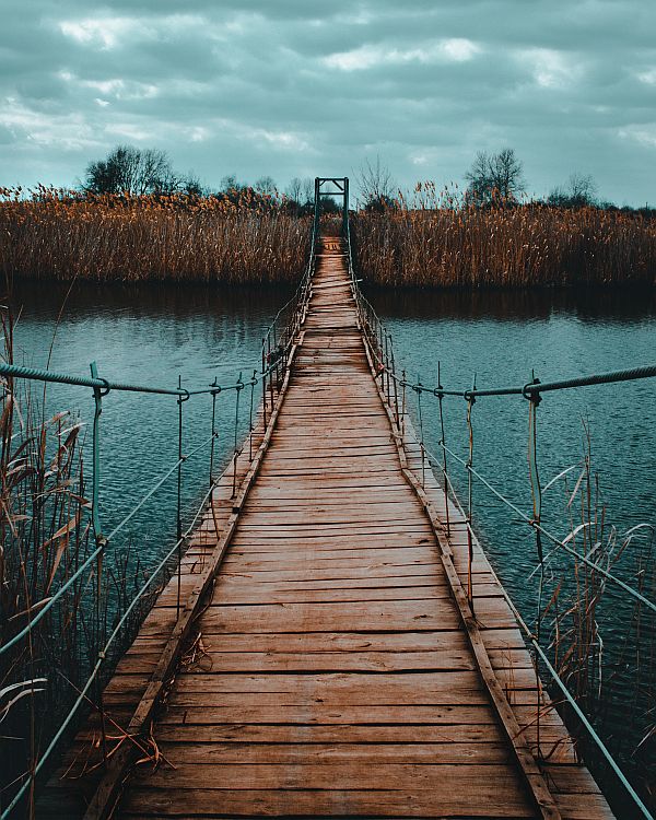 Stay the Course Stay the Course