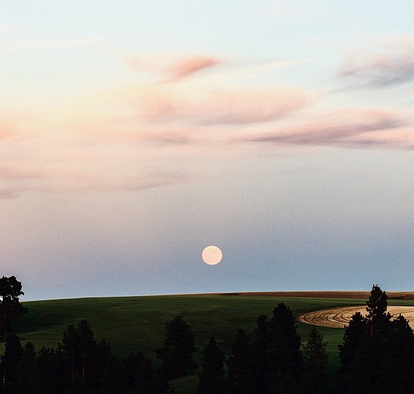 Final Full Moon of the Decade