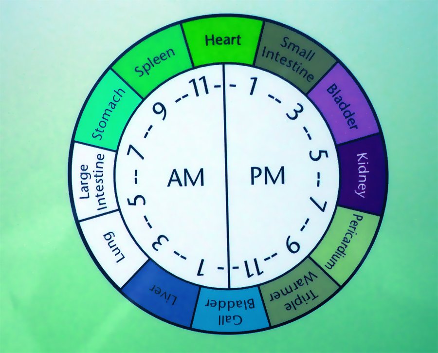 Traditional Chinese Organ Body Clock meridianclock