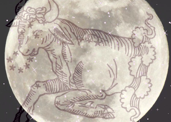 Intuitive Astrology: November Full Moon 2017 taurus full moon