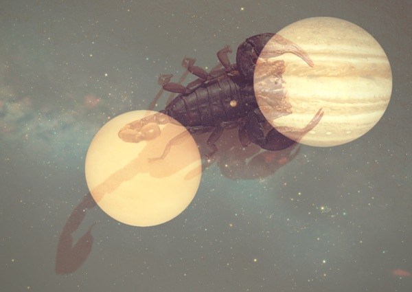 Intuitive Astrology: Venus and Jupiter November 2017 venus and jupiter