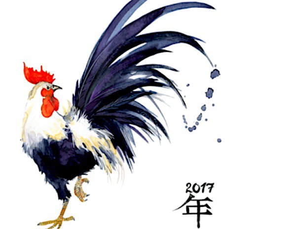 Year of the Yin Fire Rooster 2017 year-of-rooster-astrology