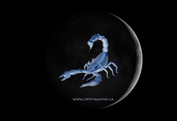 Scorpio New Moon - Shifts and Gifts