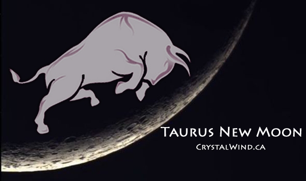 11:11:11:11 Taurus New Moon
