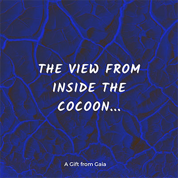 Enter the Cocoon