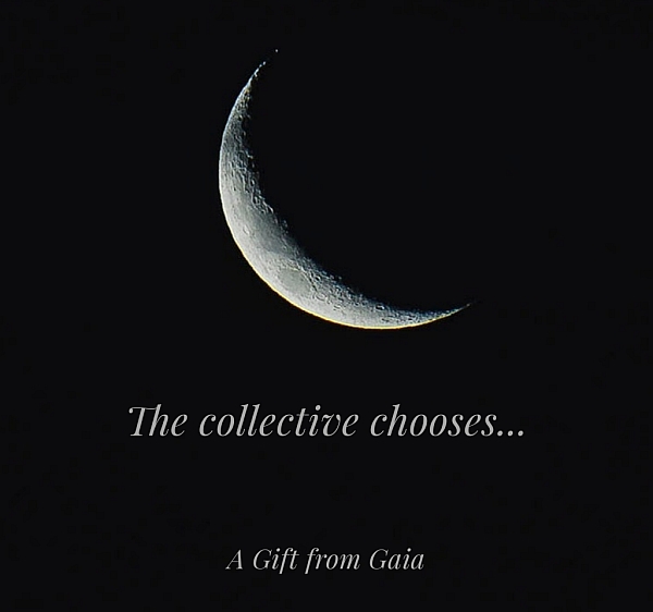 The Collective Chooses