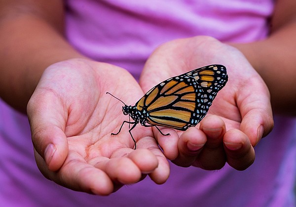 5 Self-Care Habits for a Happier, Healthier You 5 Self-Care Habits for a Happier, Healthier You