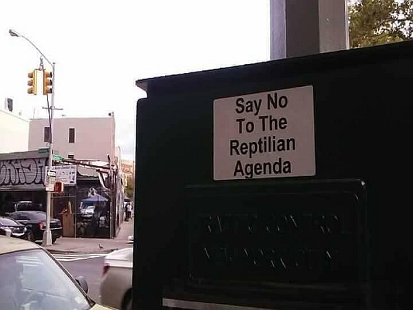 The Reptilian Resistance The Reptilian Resistance