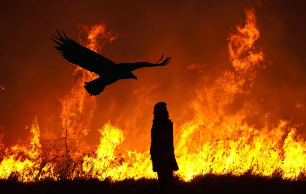 Fire Ceremony for Eagle Wisdom Fire Ceremony for Eagle Wisdom