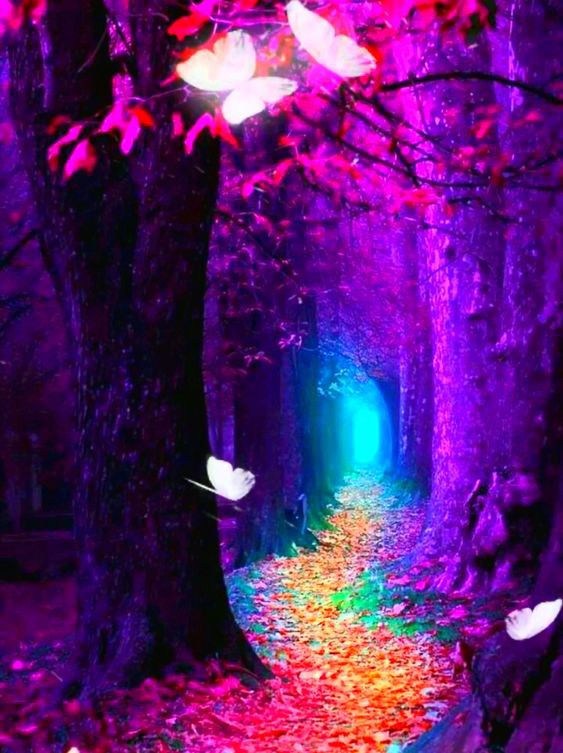 The Influence Of Colors On The Aura: Which Color Attracts You The Most? The Influence Of Colors On The Aura: Which Color Attracts You The Most?
