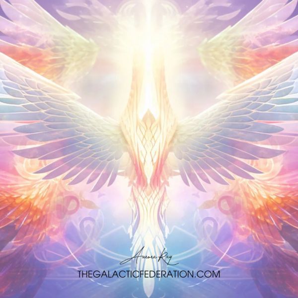 Galactic Federation: Elevate Your Energy Galactic Federation: Elevate Your Energy