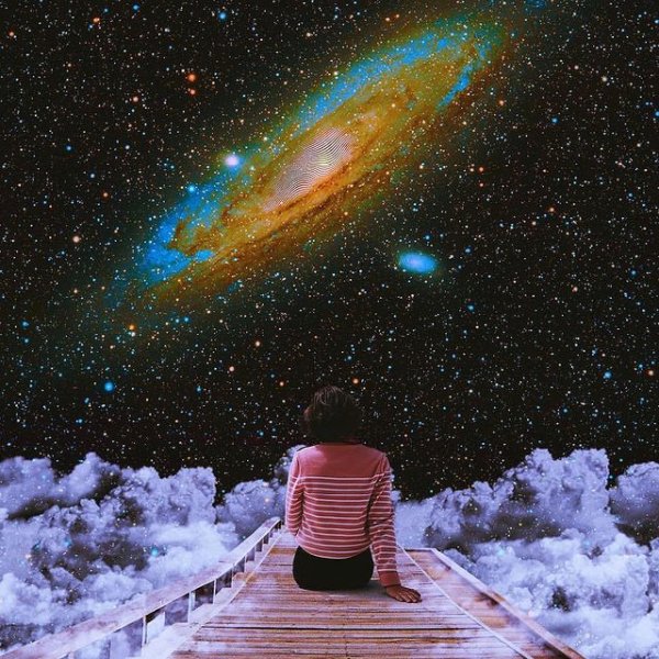 How to Ascend in a Dysfunctional World -Learn Discernment How to Ascend in a Dysfunctional World -Learn Discernment