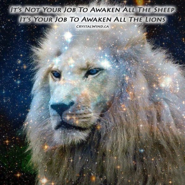 Messages From The Soul Collective: Spellbound! Messages From The Soul Collective: Spellbound!