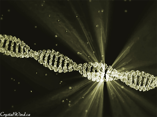 Golden Race Global DNA Activation - Collective Shift Update