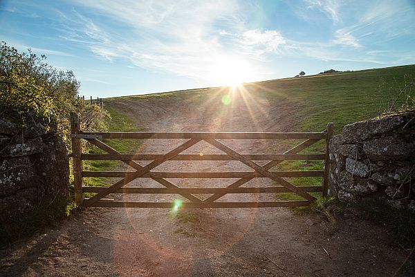 Allow The Gate To Disappear