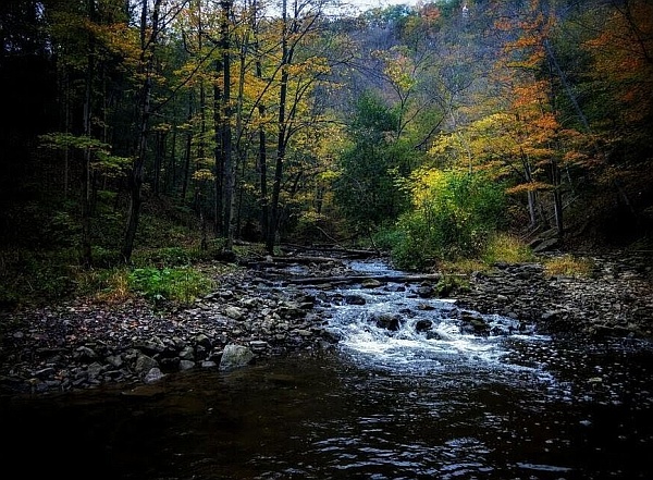 Gently Down The Stream