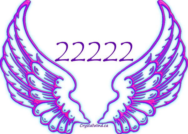 Angel Number 22222 Meaning And Twin Flame Message