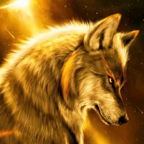 Golden Wolf Golden Wolf