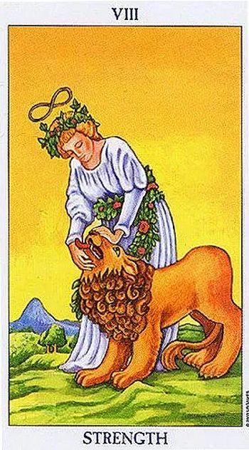 #8 Strength Tarot Card