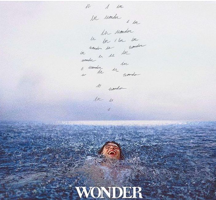 Why Wonder?