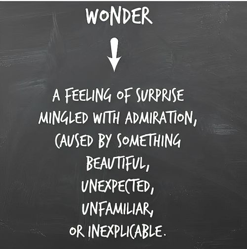 Why Wonder?