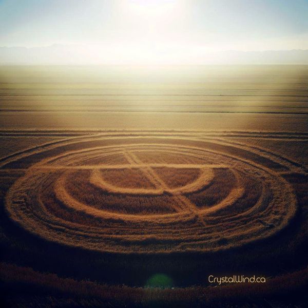 The Crop Circle - ET Connection | Day 4 | 33 Days of Contact